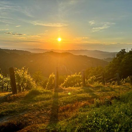 1929 Wine Food Relax Agriturismo Акви Терме Экстерьер фото