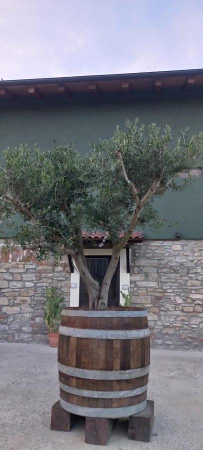 1929 Wine Food Relax Agriturismo Акви Терме Экстерьер фото