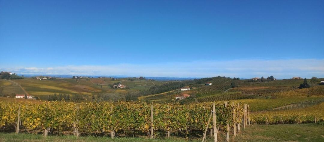 1929 Wine Food Relax Agriturismo Акви Терме Экстерьер фото